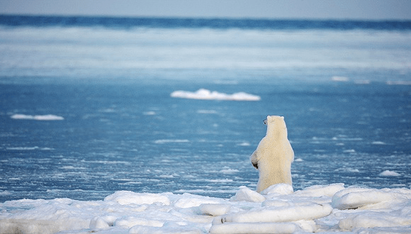 未來50年能源系統(tǒng)格局將大變，江蘇江河順應時局，生態(tài)發(fā)展！