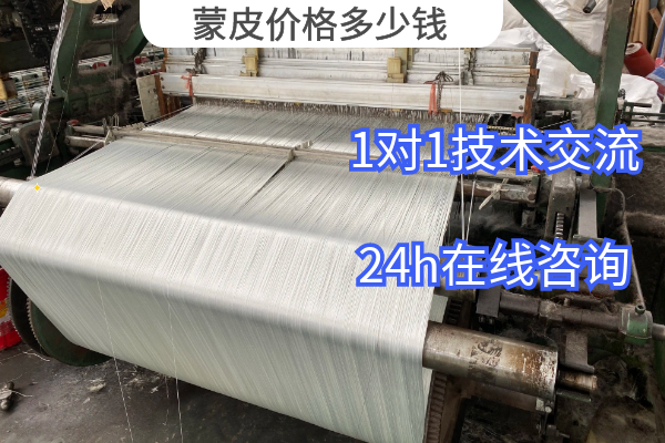 蒙皮價(jià)格多少錢